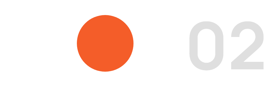 Proven track record in government and private sector projects